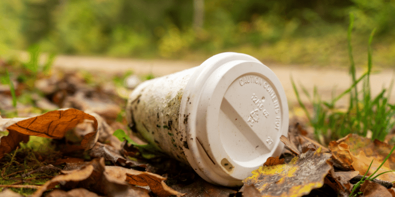 disposable coffee cups