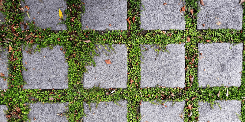 How permeable pavements boost environmental sustainability, Pavement  Management Services posted on the topic