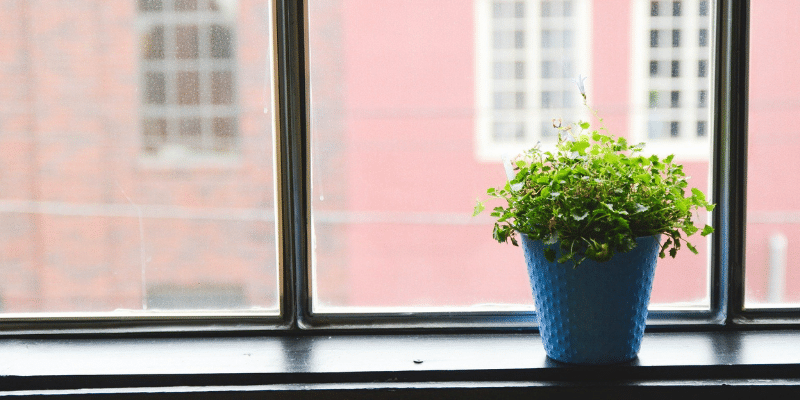 rain barrel benefits