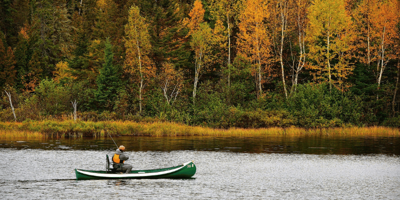 reconnect with nature