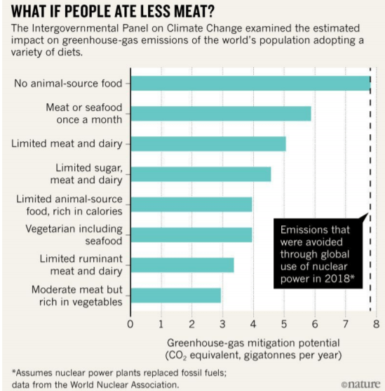 What-If-People-Ate-Less-Meat