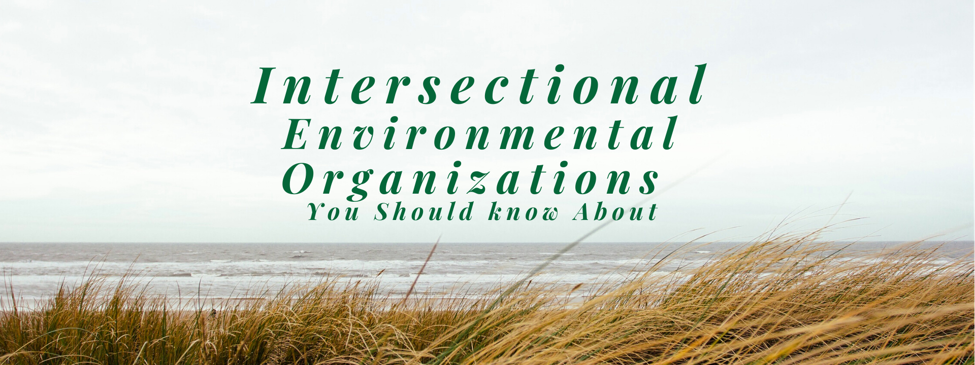 intersectional environmental organizations canada