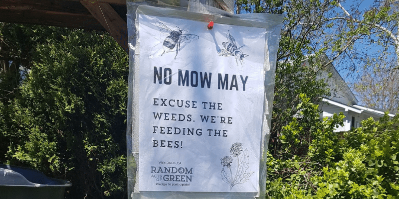 no mow may lawn sign