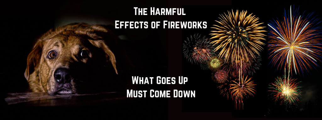 harmful effects of fireworks