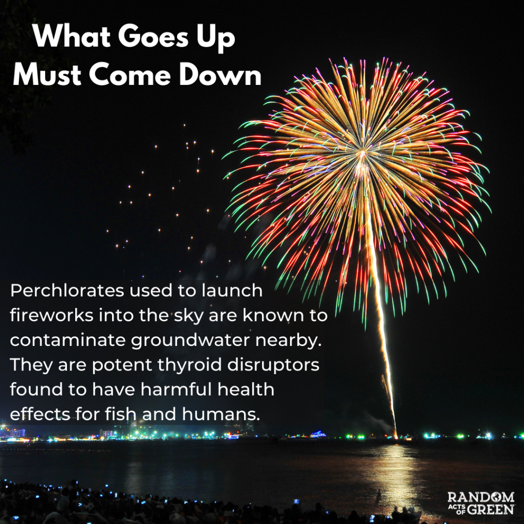 The Harmful Effects Of Fireworks On Animals & Humans - Random Acts Of Green