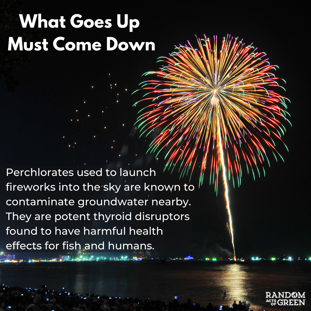 harmful effects of fireworks on animals