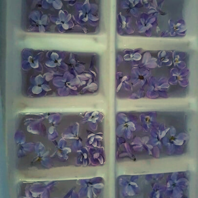 lilac ice cubes