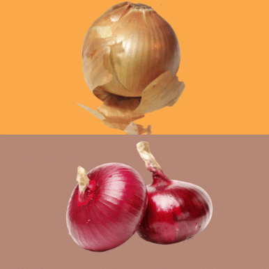 onion skin food waste dye