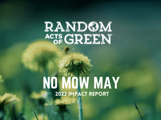 no mow may impact report