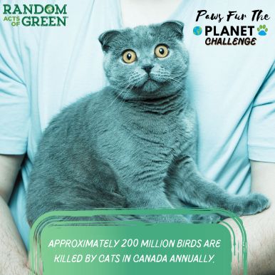 pet challenge