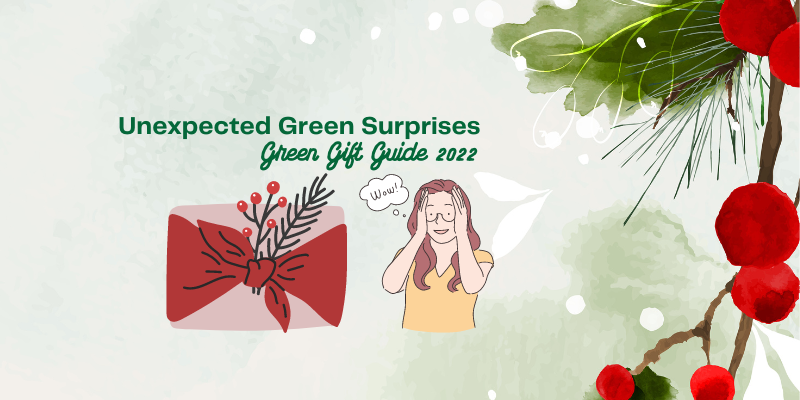 20 Eco-Friendly Gift Ideas  Holiday Gift Guide 2022 - Random Acts Of Green