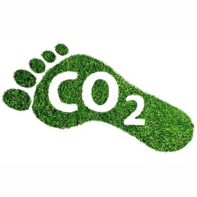 eco-friendly lawns