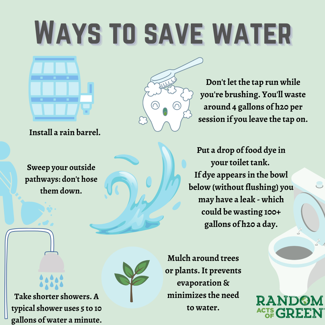 World Water Day - Actionable Tips! - Random Acts Of Green