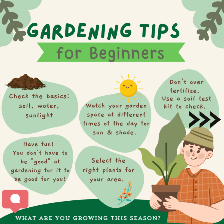 11 Sustainable Gardening Tools & Techniques For The Green Gardener